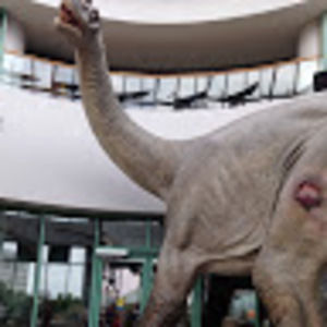 Meet your Posher, Beatriz